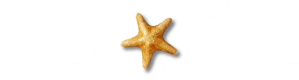 SEA LIFE White Text) RGB