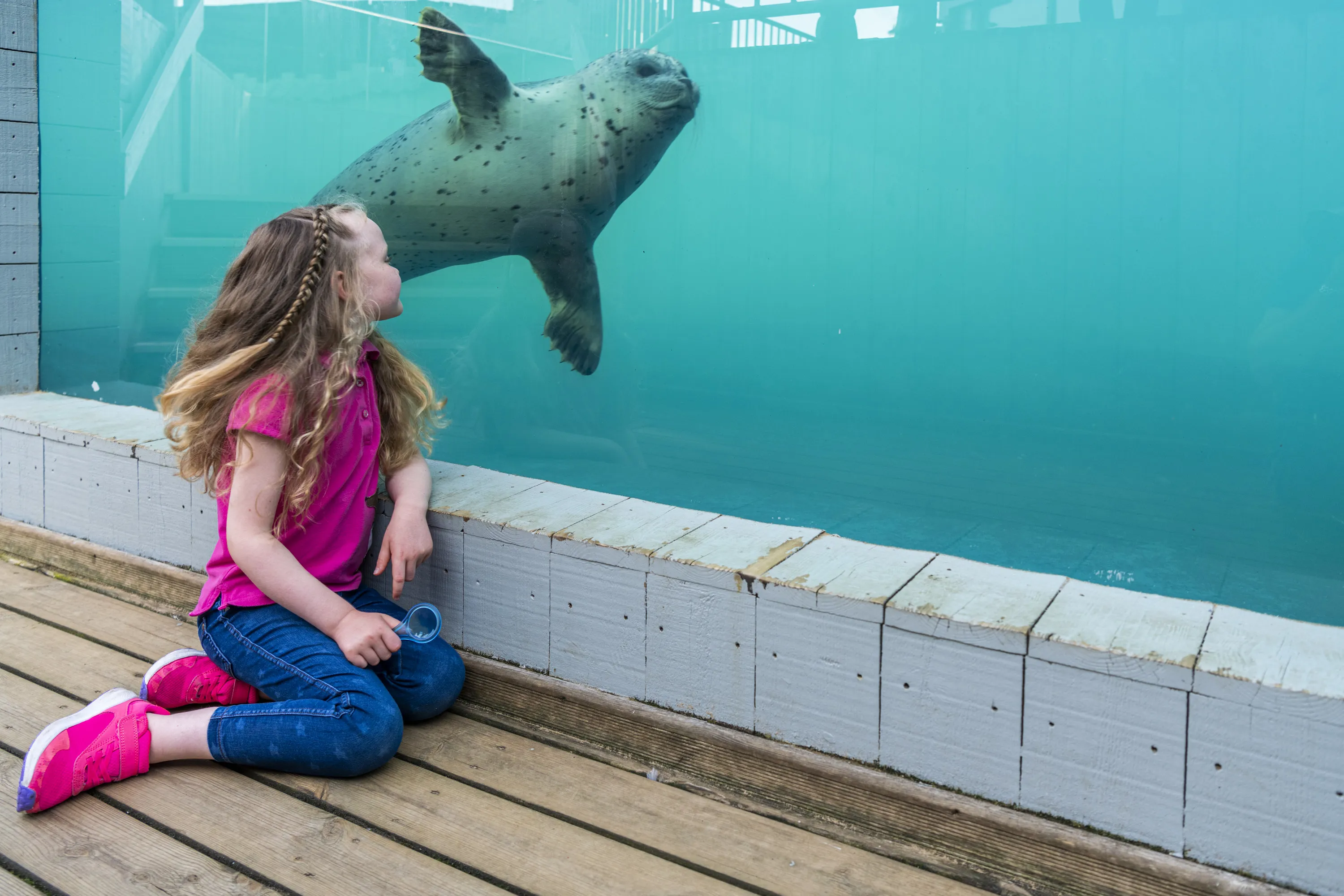 Sealife Hunstanton 035 (1)